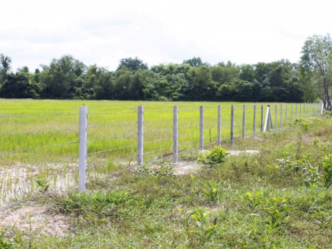 จำหน่ายเสารั้วลวดหนามราคาส่ง